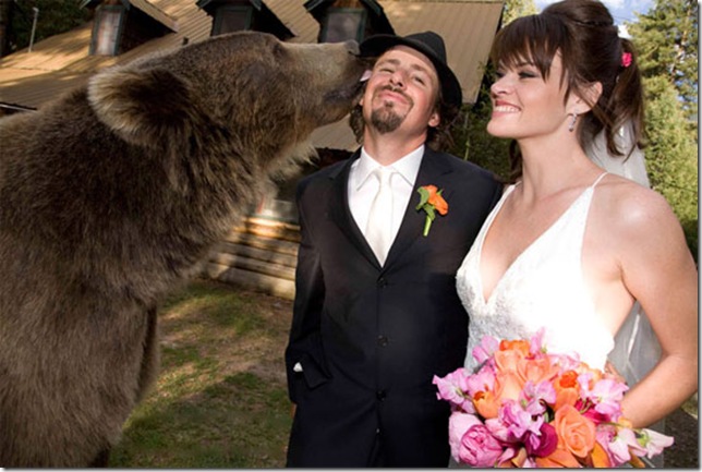 weddingbearkiss_3 (644x433, 87Kb)