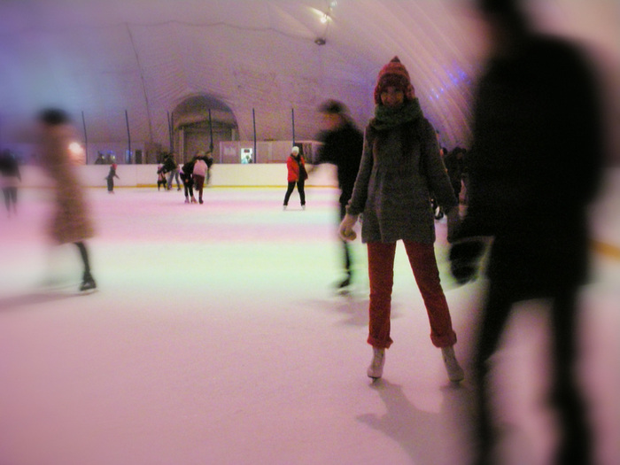 DSCN3519 (700x525, 109Kb)