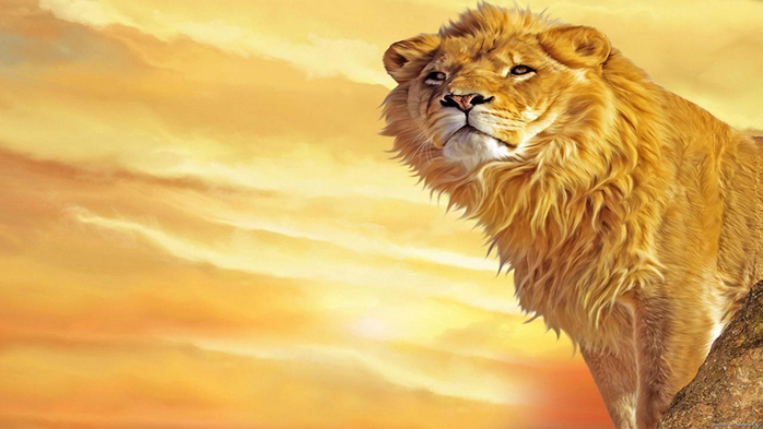 651208_simba (700x393, 212Kb)