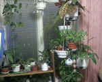  Photo-0133 (700x560, 144Kb)