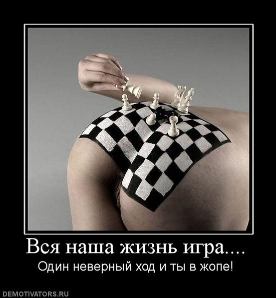 1262101723_demotiv_2 (553x596, 43Kb)