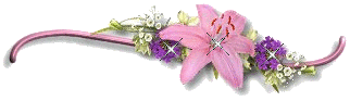 0_2fff2_166161b1_L (322x93, 25Kb)