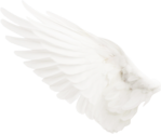  Noshay_Yes_El22 (700x580, 241Kb)