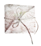  Noshay_Yes_El40 (630x700, 426Kb)