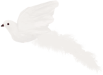  Noshay_Yes_El44 (700x513, 101Kb)