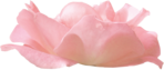  Noshay_Yes_El65 (700x298, 197Kb)
