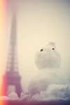  x_65663301 (403x604, 26Kb)