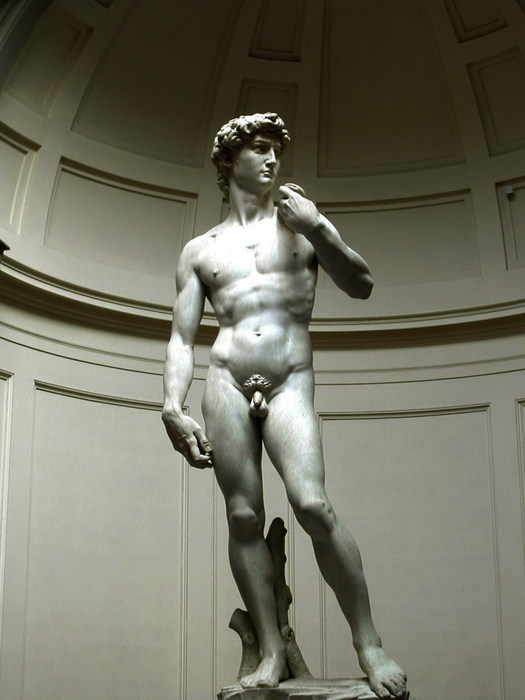 Давид, 1501-1504 (525x700, 64Kb)