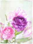  6765298791_ea3735c292_b (525x700, 120Kb)