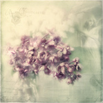  5672058489_f136f9a78d_b (699x700, 198Kb)