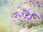  5592986774_43d68b7c3e_b (700x528, 183Kb)