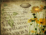  4727741178_612075b97c_b (700x523, 247Kb)