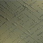  panneau-en-verre-translucide-192734 (256x256, 22Kb)