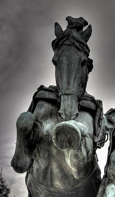 Grant Memorial Washington DC 76512