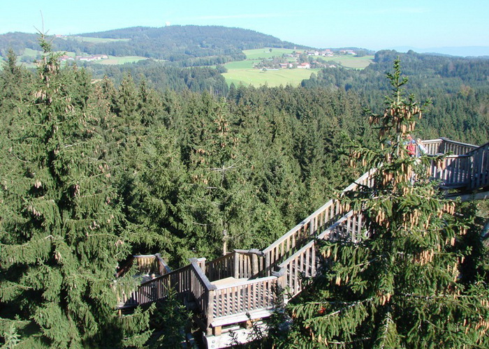 bavaria-treetop-walk-2 (700x500, 222Kb)