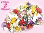  8_marta_freesias_bouquet (700x525, 66Kb)