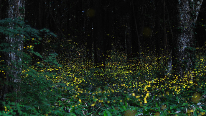 1 (700x393, 176Kb)