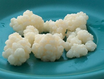 4783955_kefirwhat_are_the_benefits_of_kefir (364x275, 22Kb)