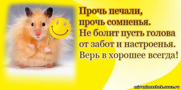 http://img0.liveinternet.ru/images/attach/c/3/84/312/84312096_354616444.jpg