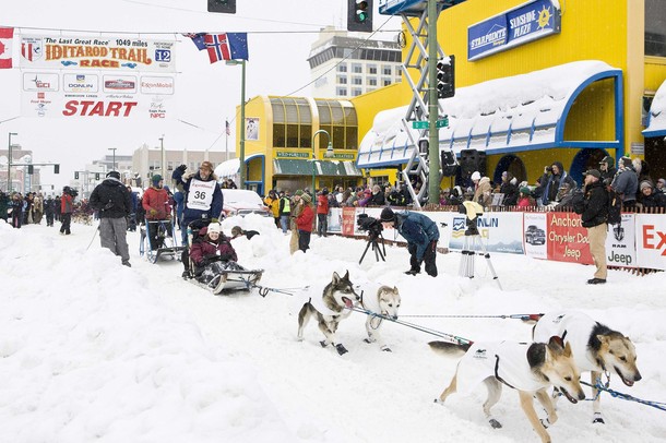 Гонки на собачьих упряжках (40th Iditarod Trail Sled Dog Race) в центре города Анкоридж, Аляска, 3 марта 2012 года.