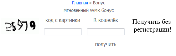 3510022_wmtake_ru_bonus (562x179, 10Kb)