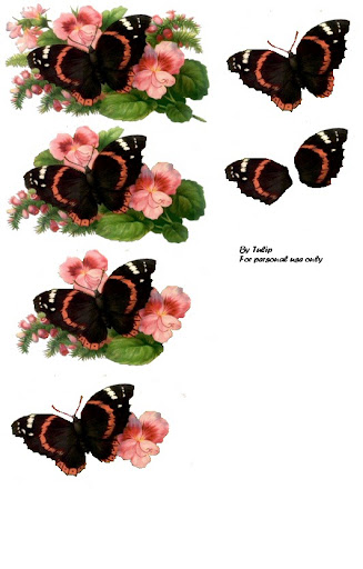 butterfly (327x512, 52Kb)
