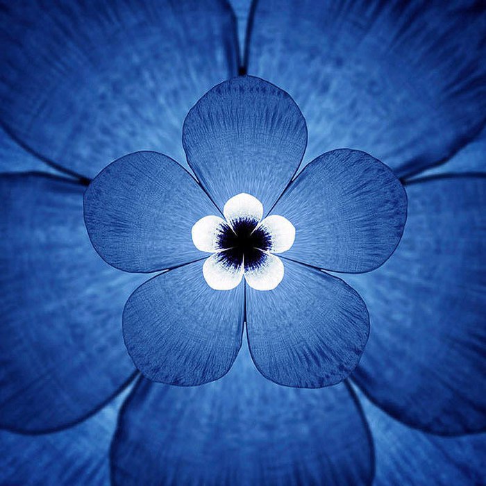 qlMeFv8M1b8 (700x700, 92Kb)