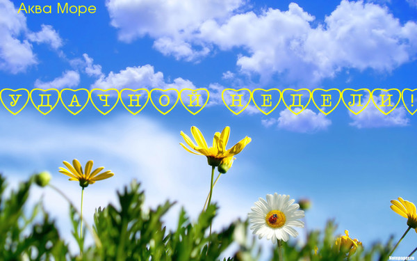       15 (600x375, 84Kb)