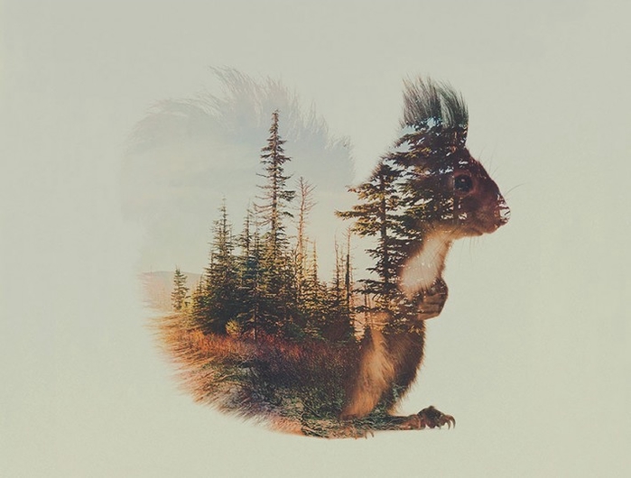 2 (700x530, 168Kb)