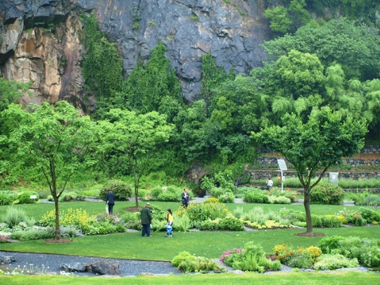 ботанический сад Шанхай 4 (540x405, 337Kb)