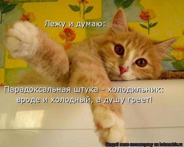 1374123992_www.radionetplus.ru-22 (600x480, 127Kb)