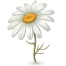 0_57d68_ac151f3b_orig (96x96, 10Kb)