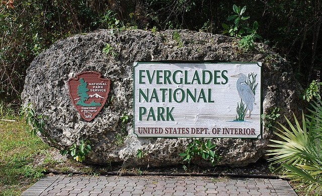 everglades2 (640x390, 140Kb)