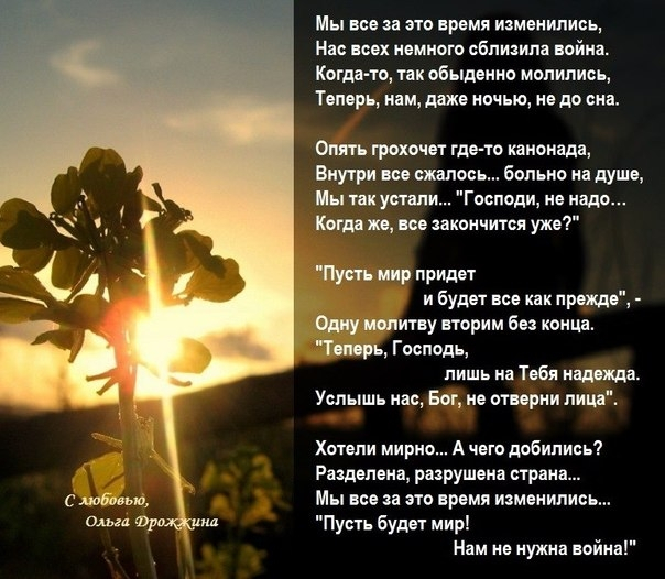 Стих о войне и деревьях Стих о войне и деревьях