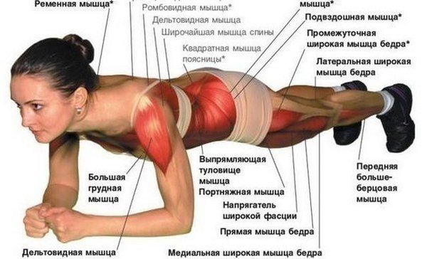 1433857005_3 (600x364, 50Kb)