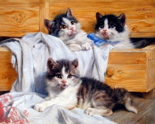 (600x480, 83Kb)