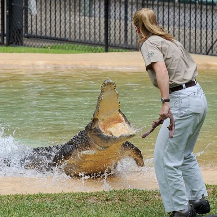 Bindi Irwin 6 photo (700x700, 494Kb)