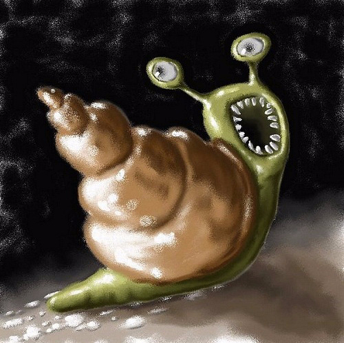 Где находится зубы у улиток Вязаная ракушка крючком. Схемы и мастер -классы