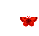 3906024_8406cc106cbd3afd0b555111e590ee302e3d1f114136672 (131x121, 14Kb)