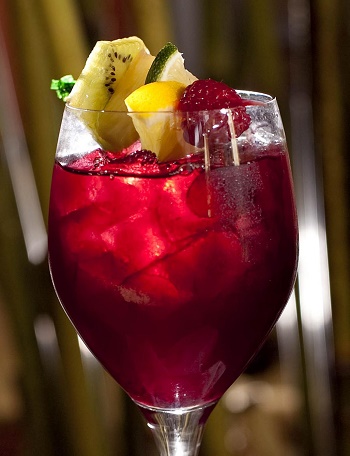 sangria1 (350x456, 54Kb)