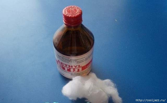 5365358_Kak_vitashit_klesha_shpricom7 (640x395, 62Kb)