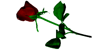 57713111_redrose83 (348x189, 53Kb)