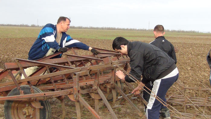 DSC02721 (700x393, 339Kb)