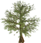  Summer Garden (11) (500x532, 434Kb)