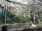 20160414_163924 (700x525, 597Kb)