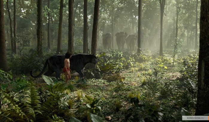 kinopoisk.ru-The-Jungle-Book-2703208 (700x408, 110Kb)