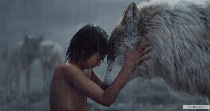 kinopoisk.ru-The-Jungle-Book-2704429 (700x369, 46Kb)