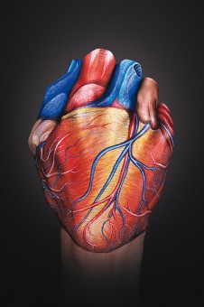 Heart-Hand-226x340 (226x340, 18Kb)