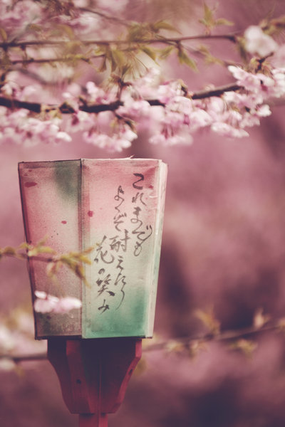 faith_and_some_wishing_words_by_jyoujo-d38r881 (400x600, 46Kb)