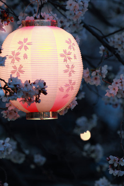 sakura__s_night_of_dreams_print_by_jyoujo-d3dexqh (400x600, 55Kb)